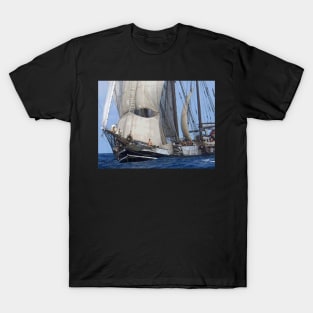 Atlantic encounter, original photo, taken in the middle of the Atlantic, by Geoff Hargraves T-Shirt